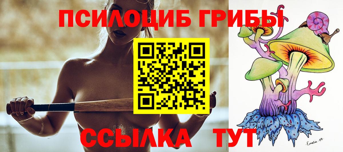 купить   Псилоцибиновые грибы Magic Shrooms  Вход с VPN  Шарыпово 