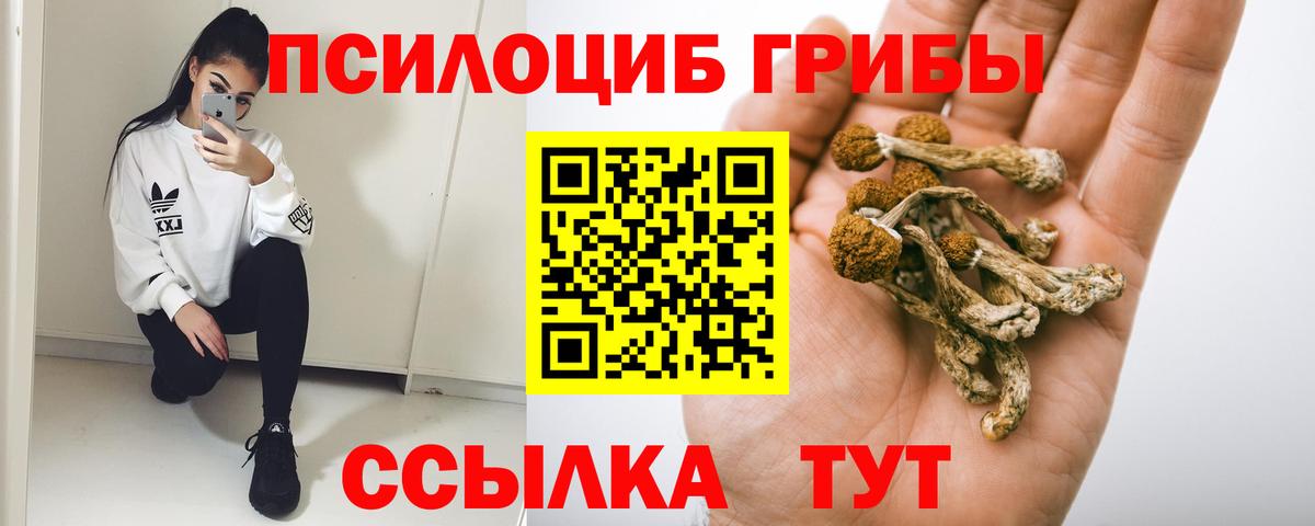 Галлюциногенные грибы GOLDEN TEACHER Шарыпово